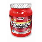 Amix Creatine monohydrate 500g powder
