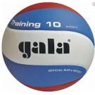 Míč volejbal Gala BV 5561 Training