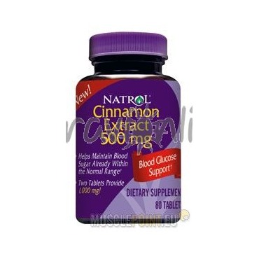 Cinnamon Extract 500mg 80tbl zvýšení imunity