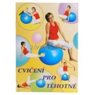 Publikace Cvičení pro těhotné Cviky s fotografiemi na velkých míčích vhodné pro těhotné ženy.